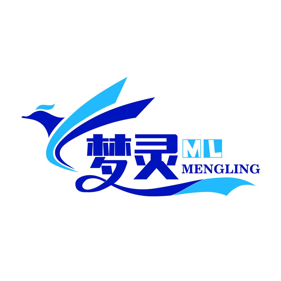 泸州梦灵电脑装机维修店（技术大师）