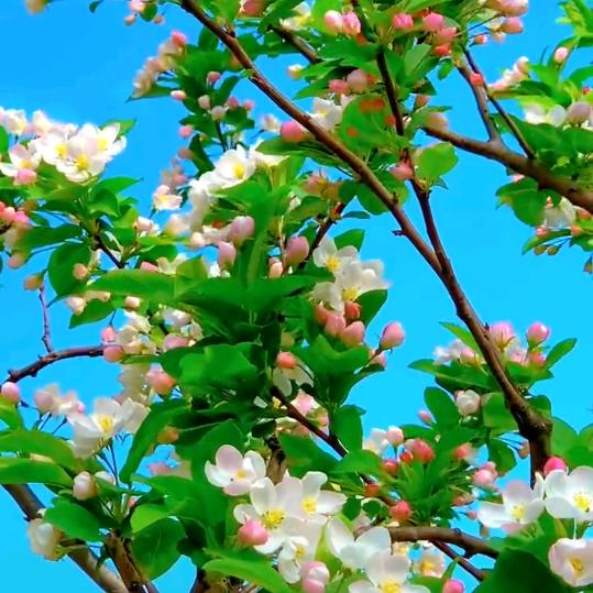 海阔天空！！！