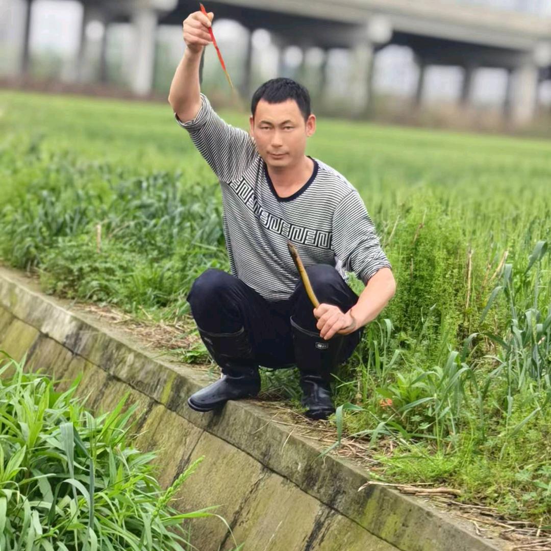 老王户外