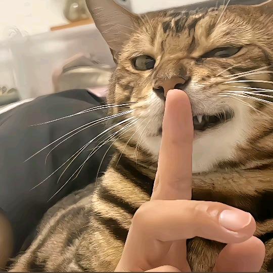 喜欢健身的一陈