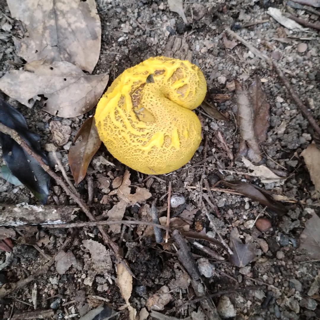 龙村镇，钟能灿