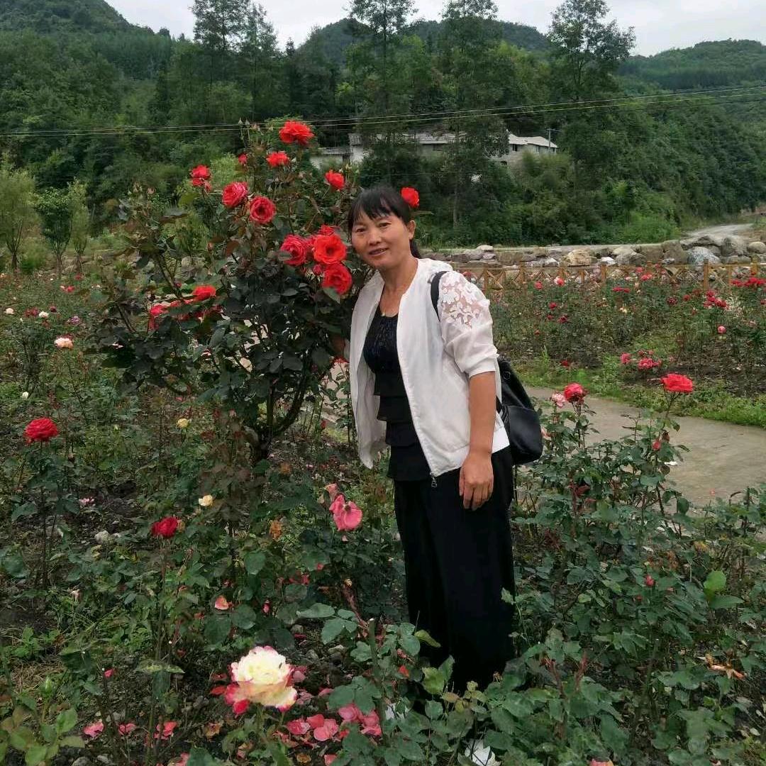 低质量的婚姻，不如高质量的单身