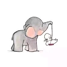 小梨儿