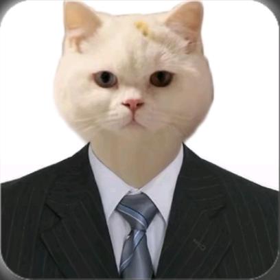 糊涂小城（陈庆贤）