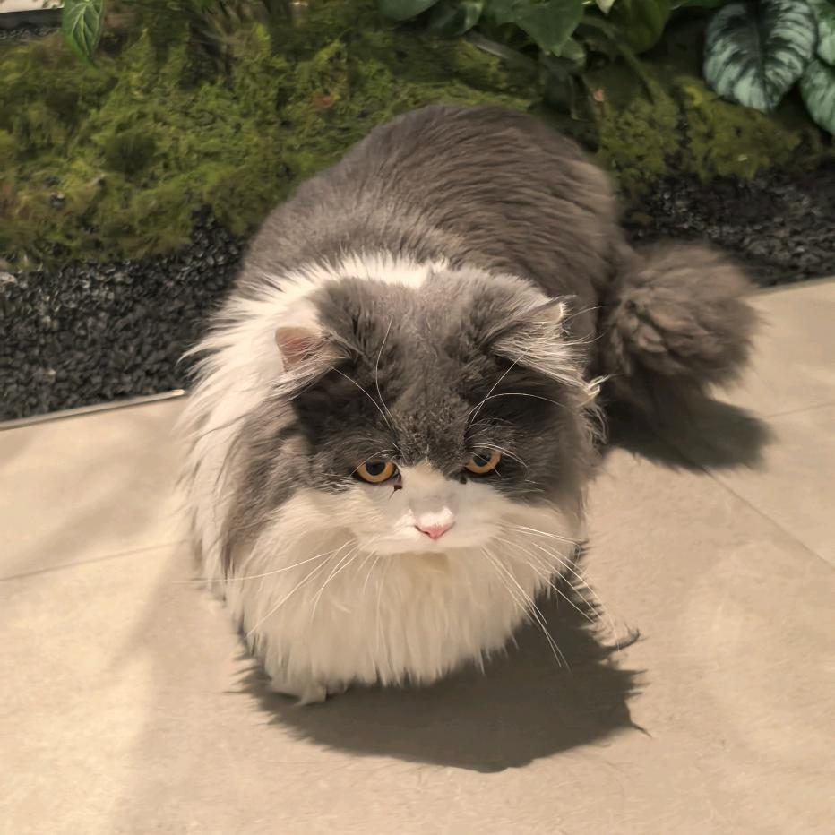 西安封姐说房👑