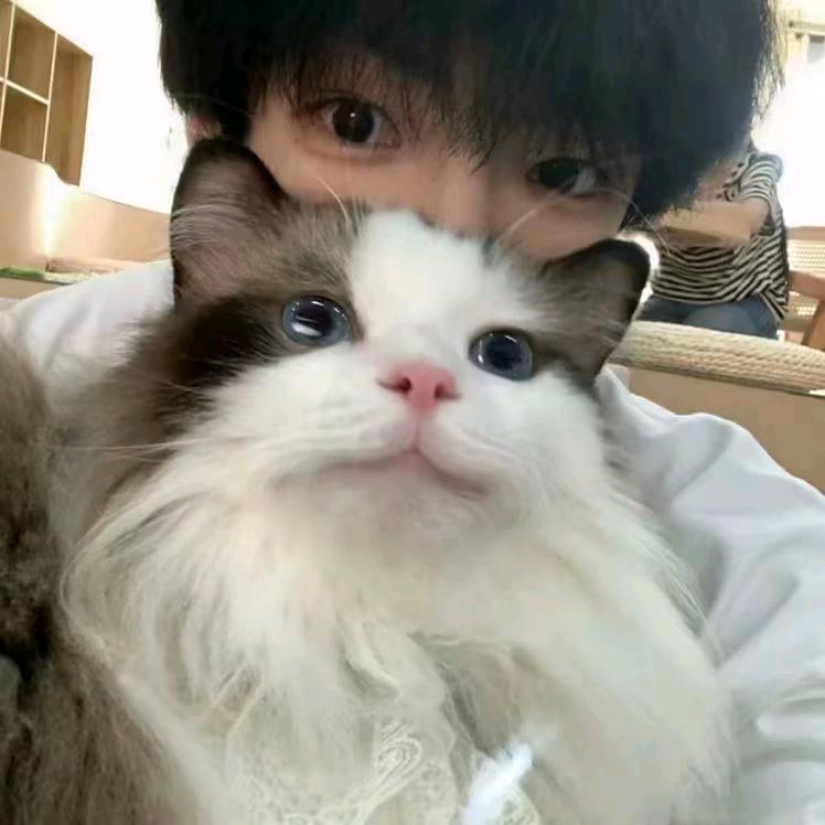 呵呵