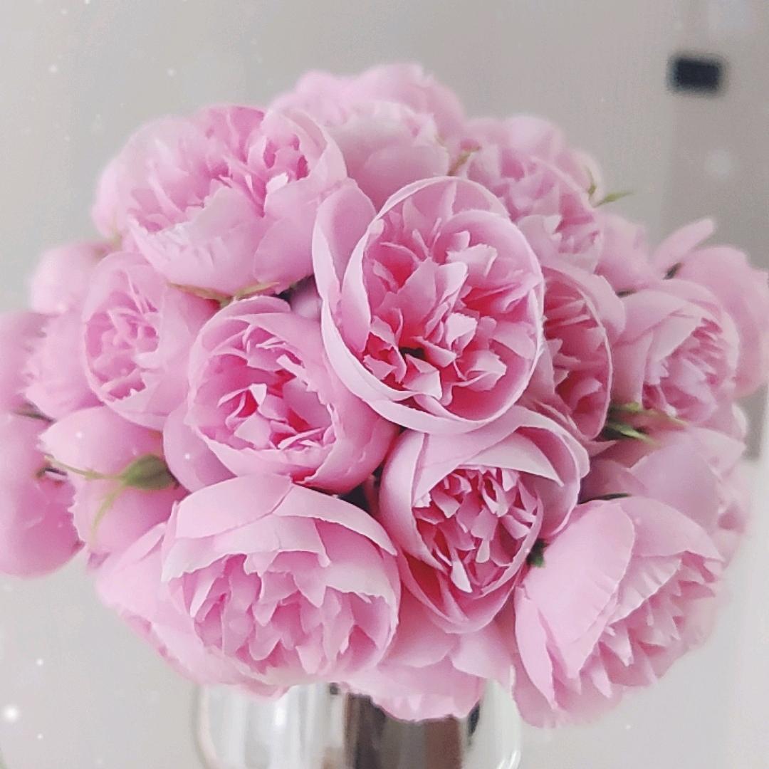 能修能开收割机姐