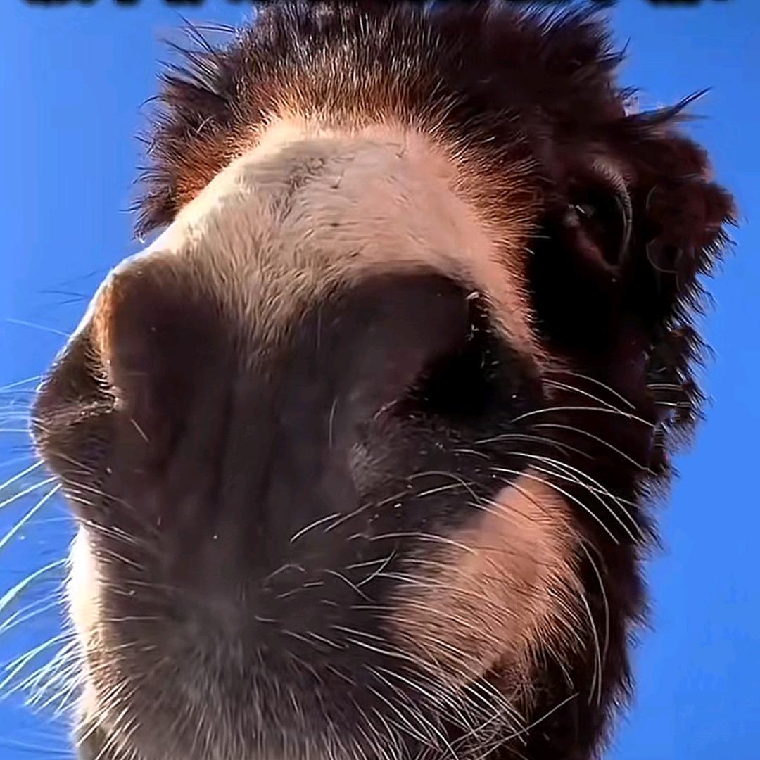 嘿！我的情！