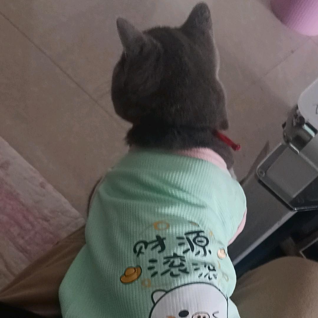 奰懿一笑
