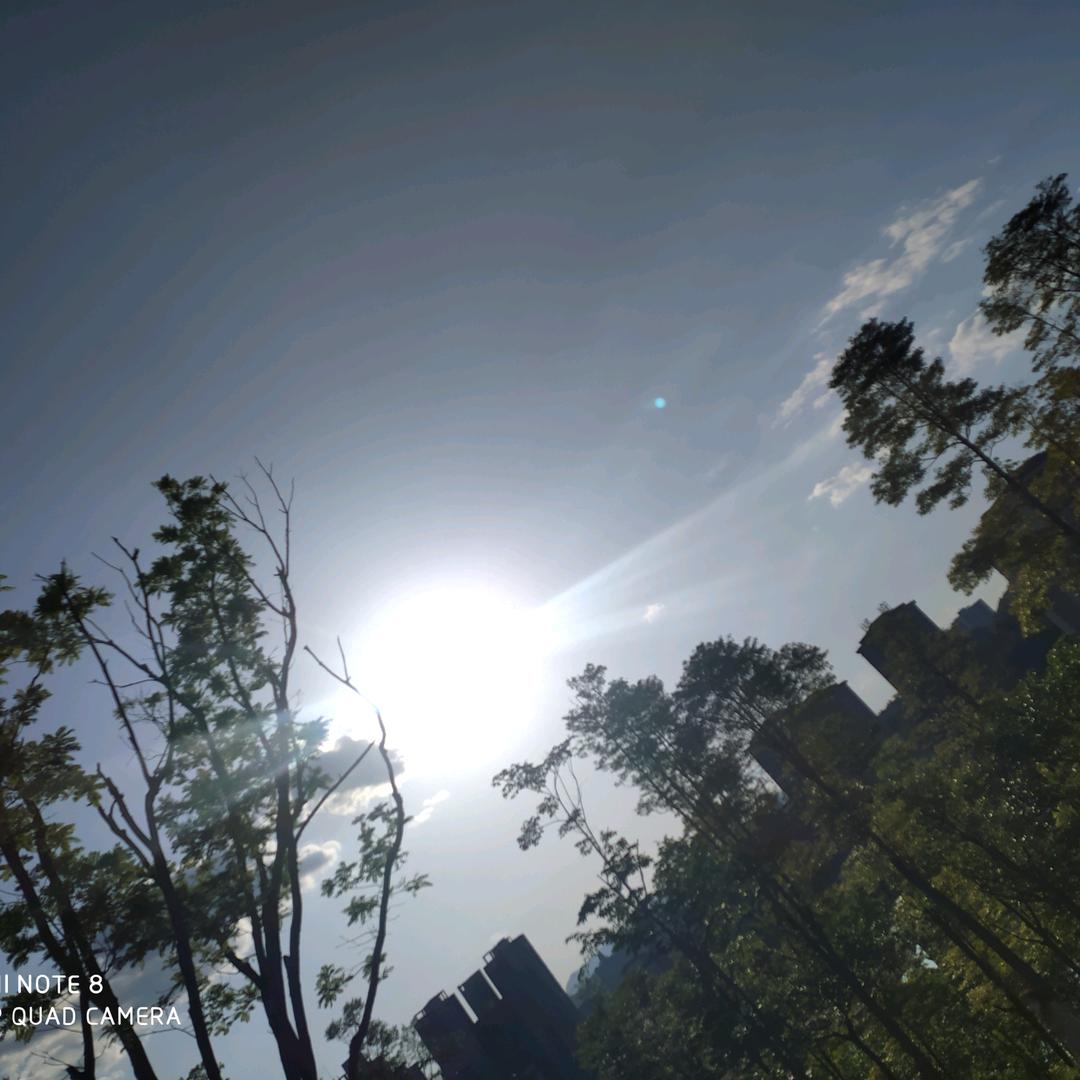上亿上医上易