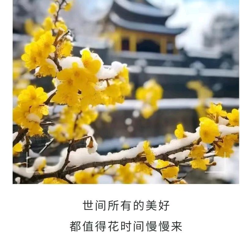 红尘作伴