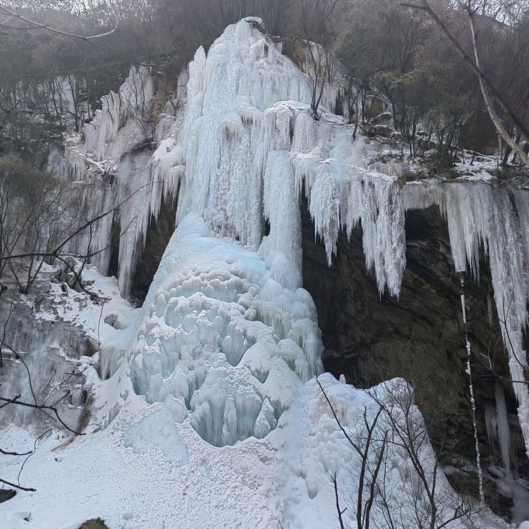 点点🍀凡💜星