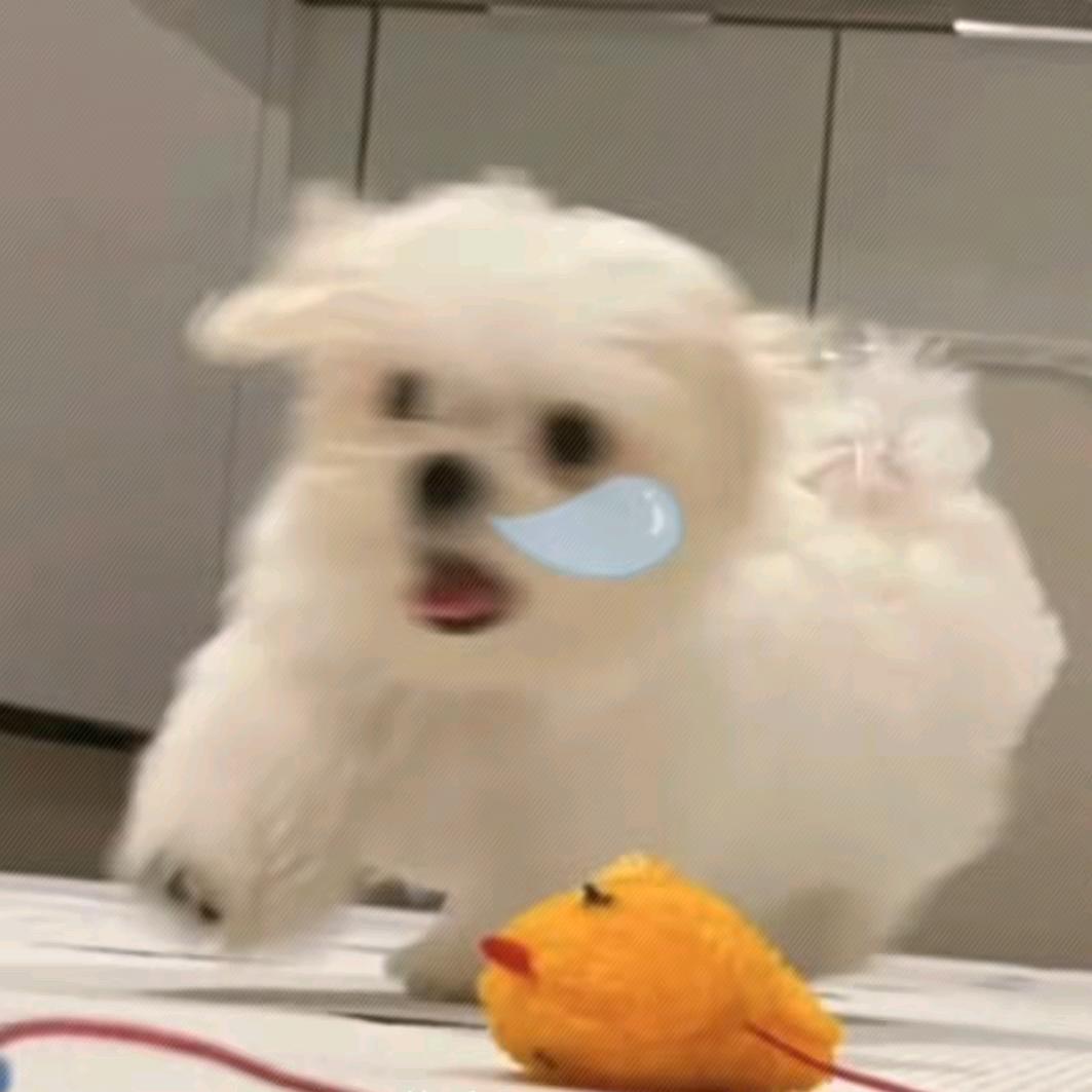 大不列颠没我颠