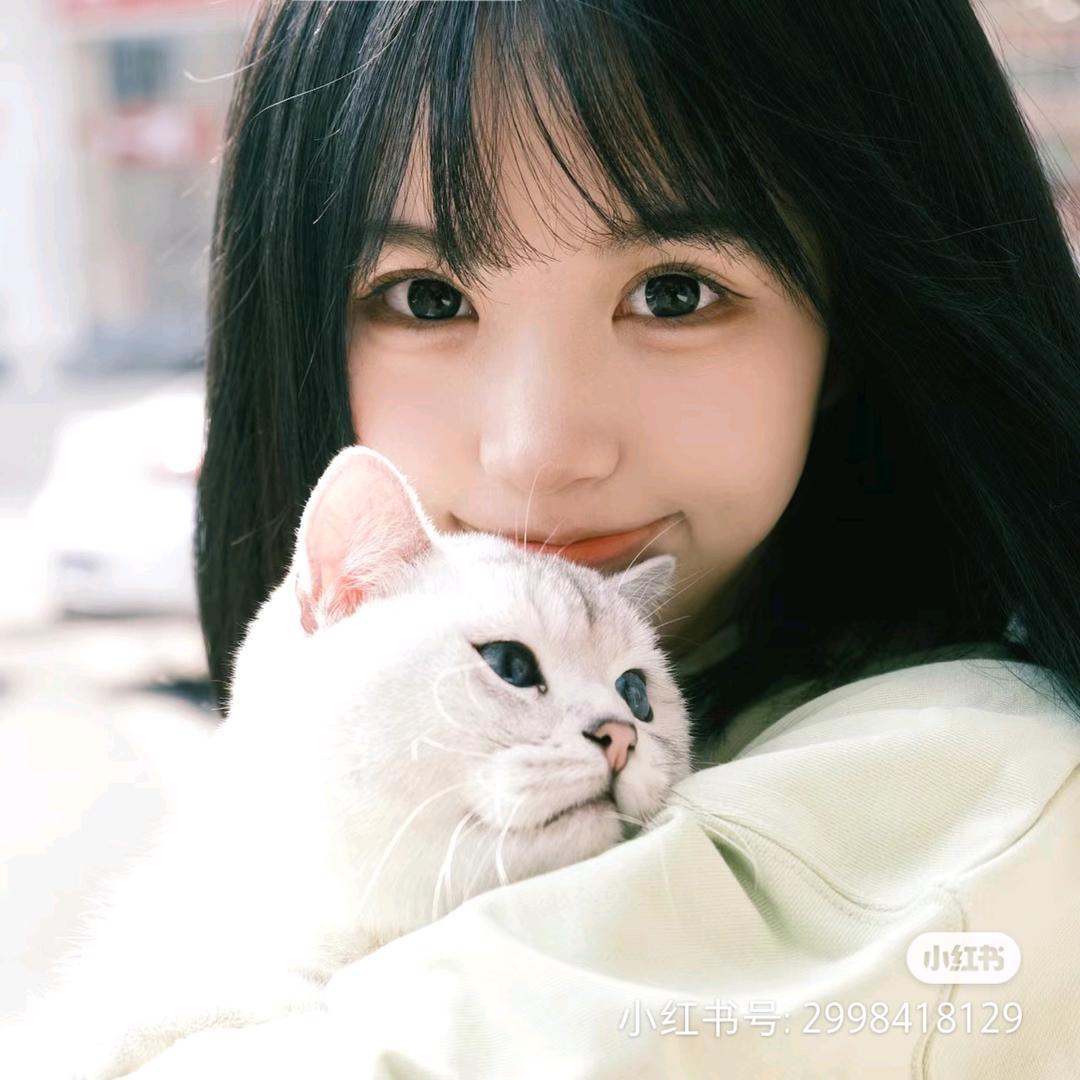 小趴菜