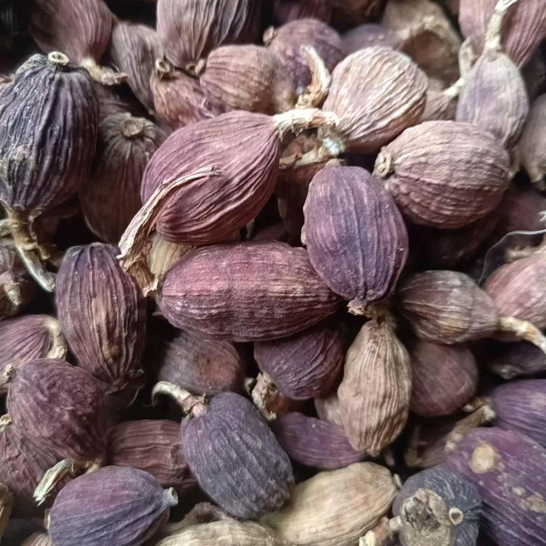 怒江，草果，香料。