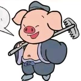 百万小猪葛