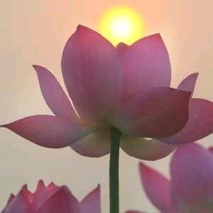 花样年华💤