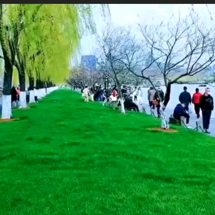 快乐