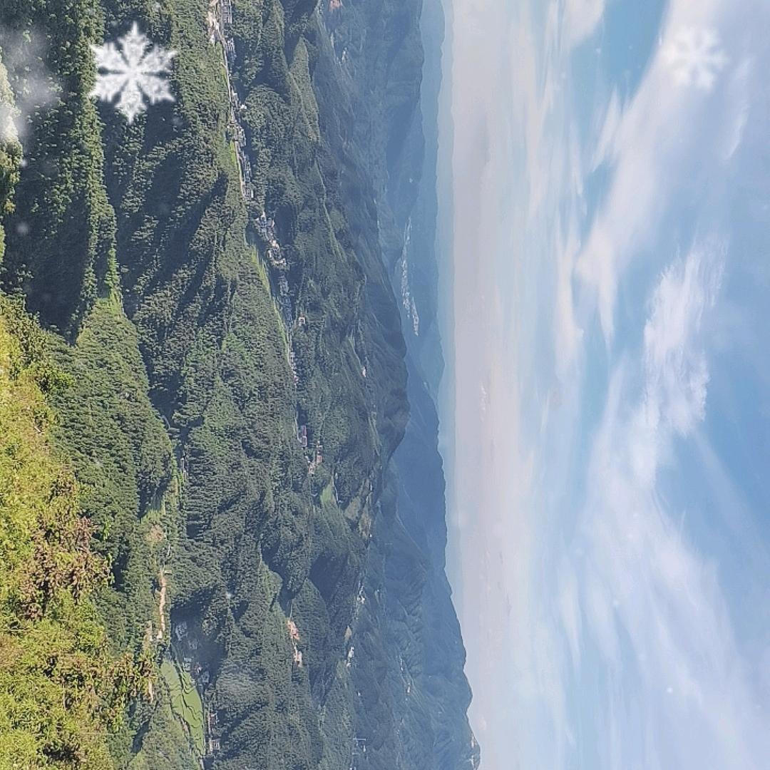 三姐