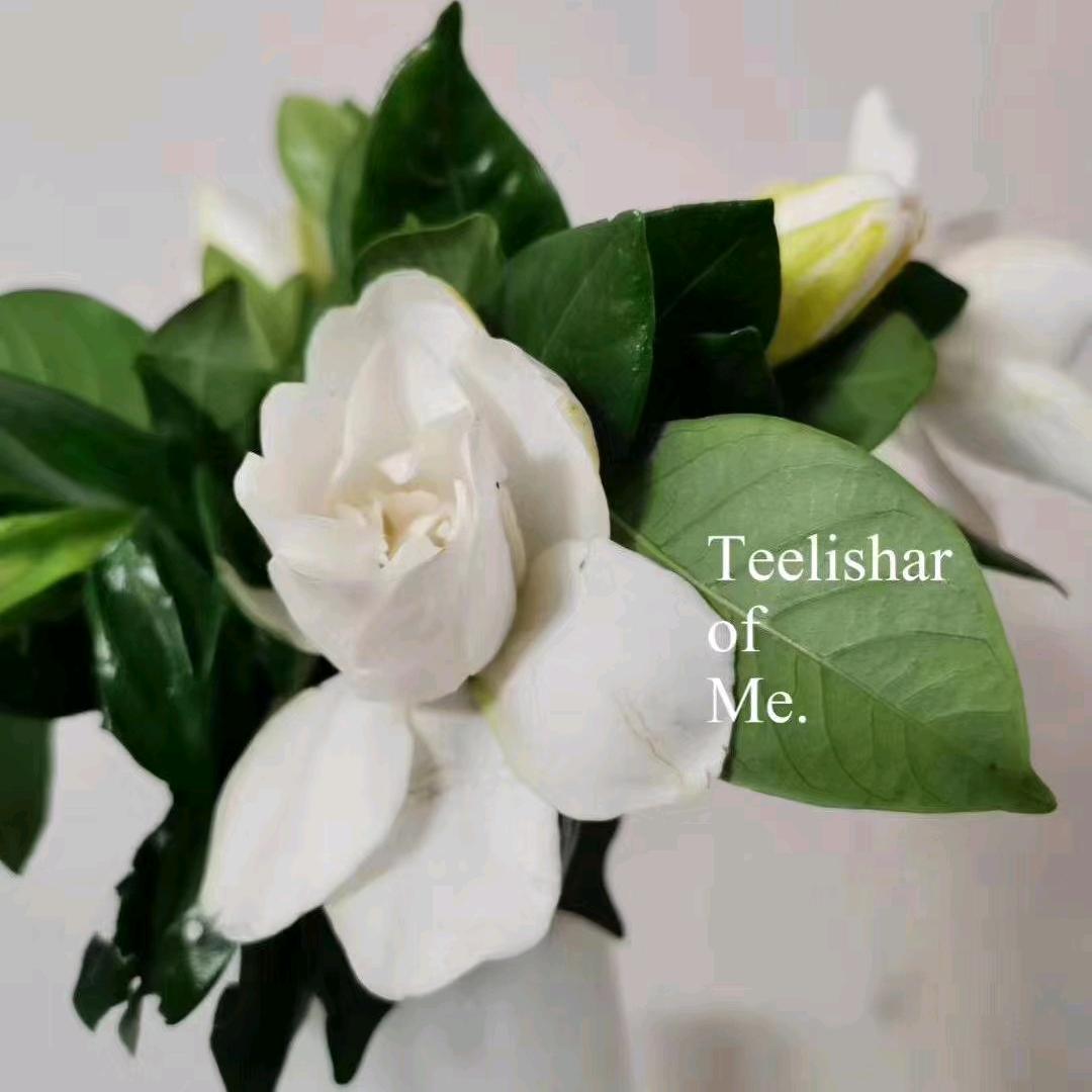 婷婷1