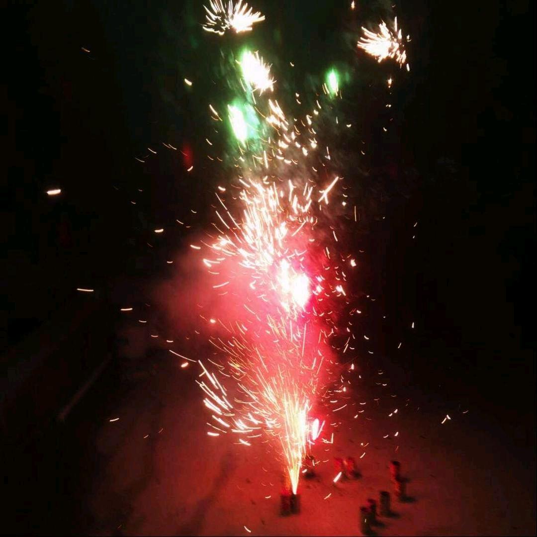 向阳花