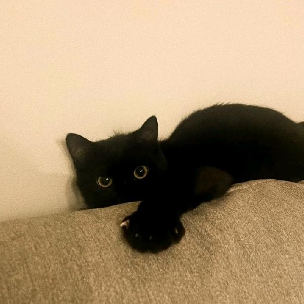 出了名的打老公