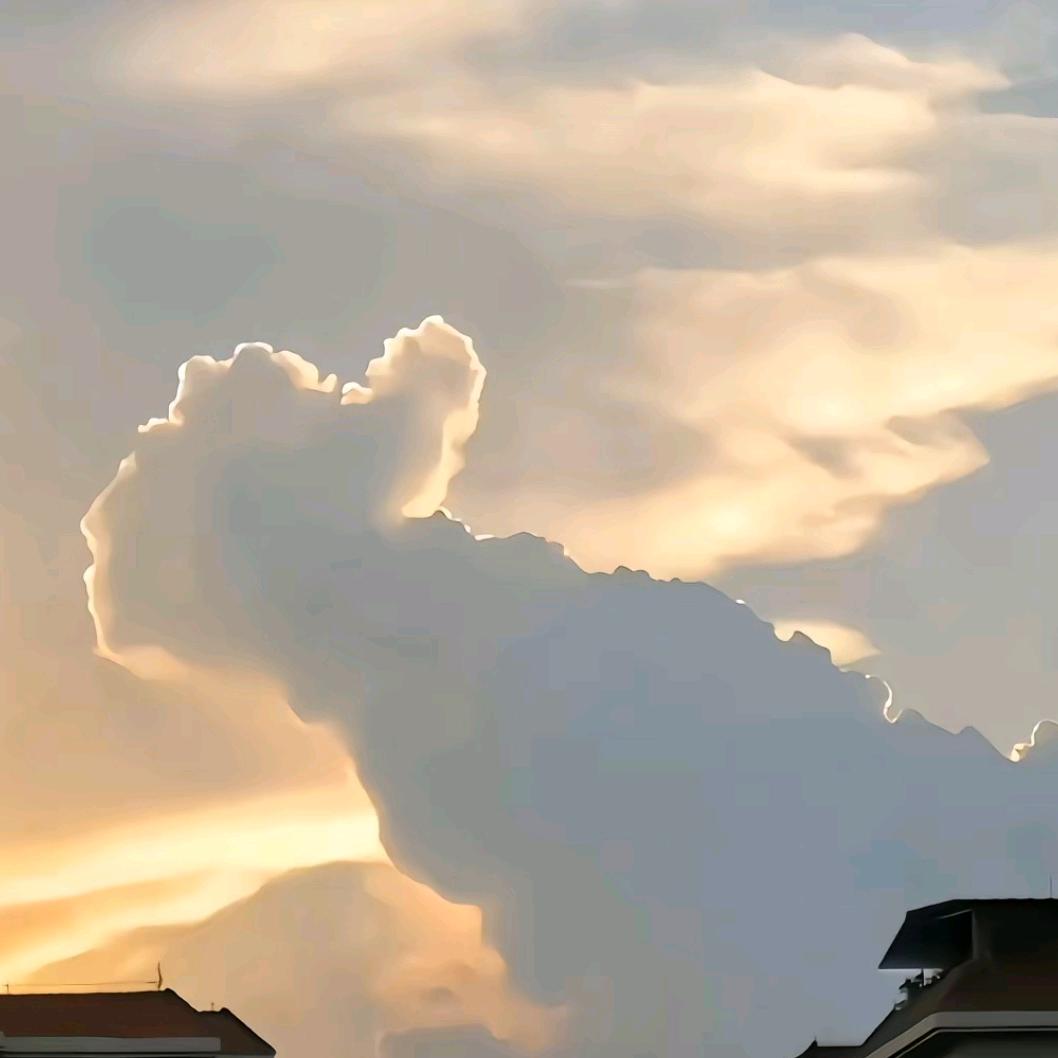 诗和远方