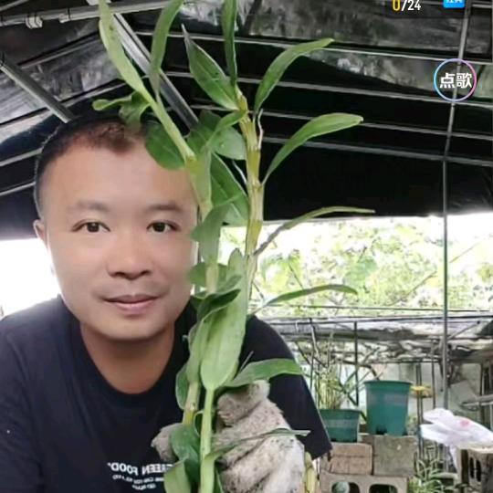 广西大山养花人梁炎夏