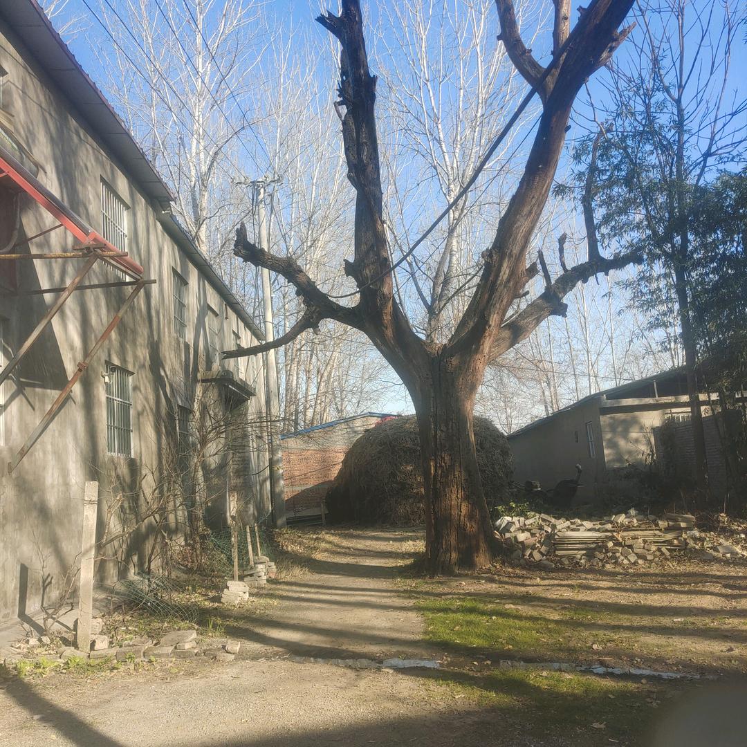 王小远