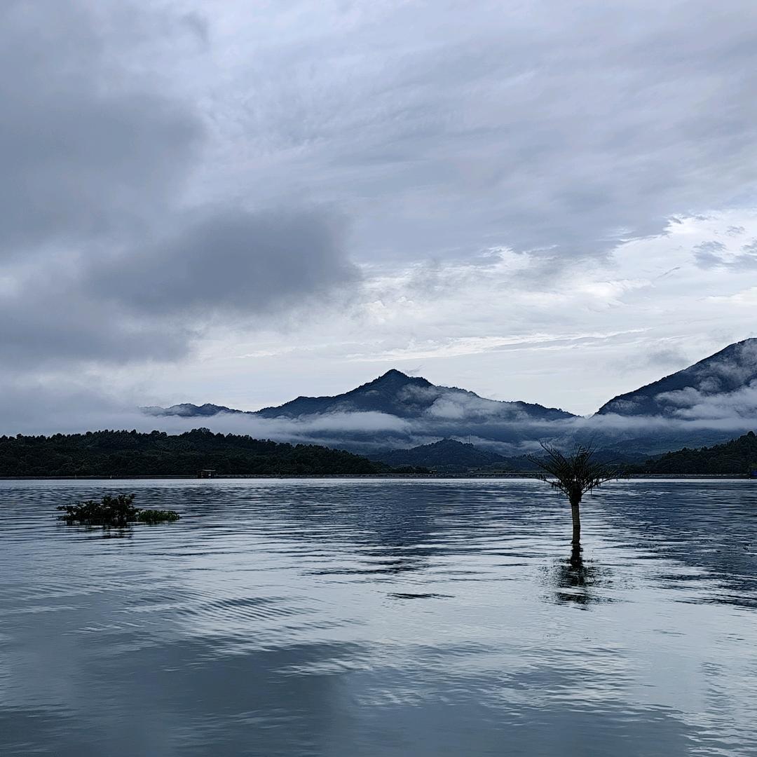 太平湖画江湖