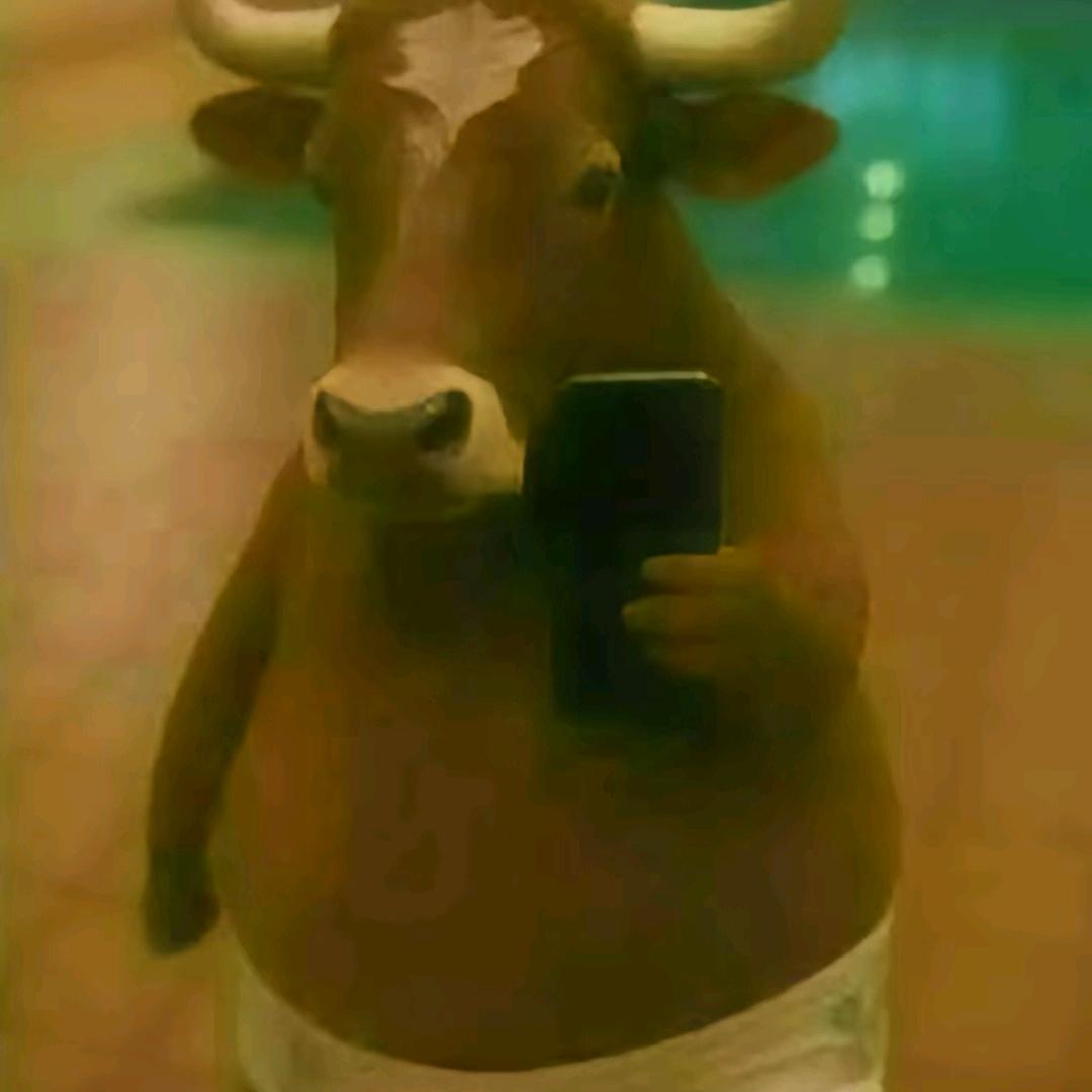 拼好饭被偷把骑手整死喂商家