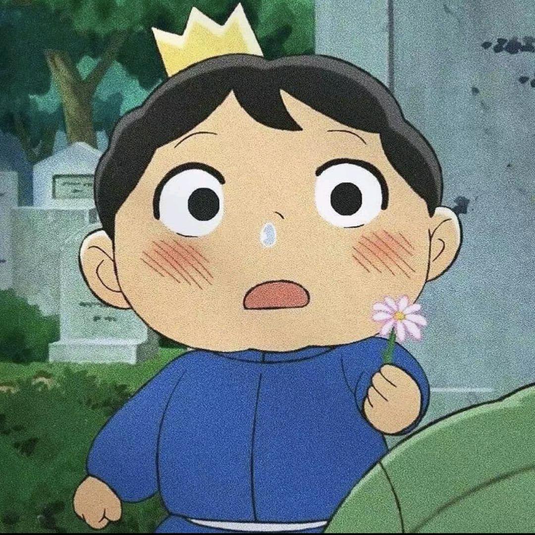 阿拉丁🧞‍♂️的家电日常