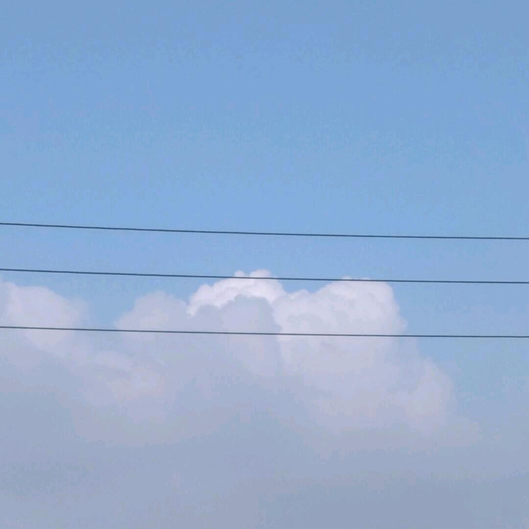 邹东