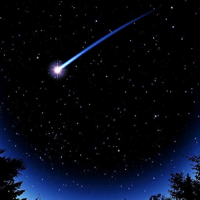 用户23164307✨✨