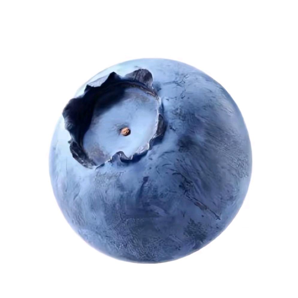 蓝什么莓