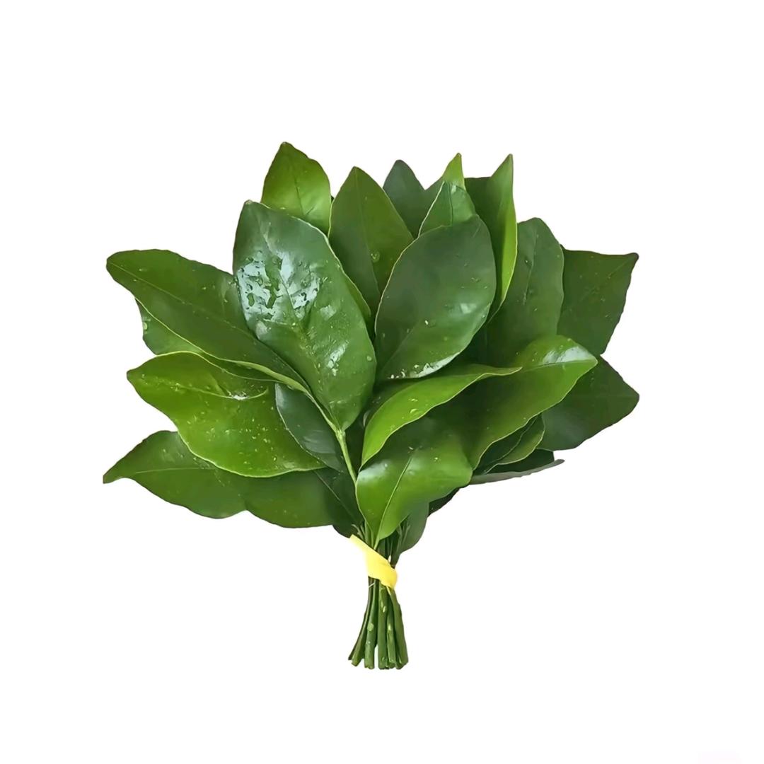 贴上苏菲显我神威