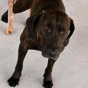 重庆户外阿成2号