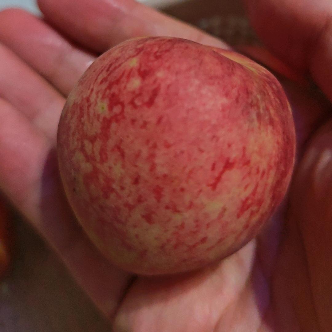 好好吃饭