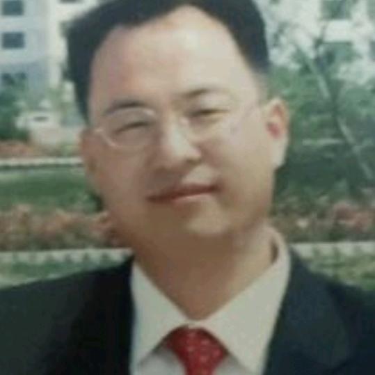 金钱松