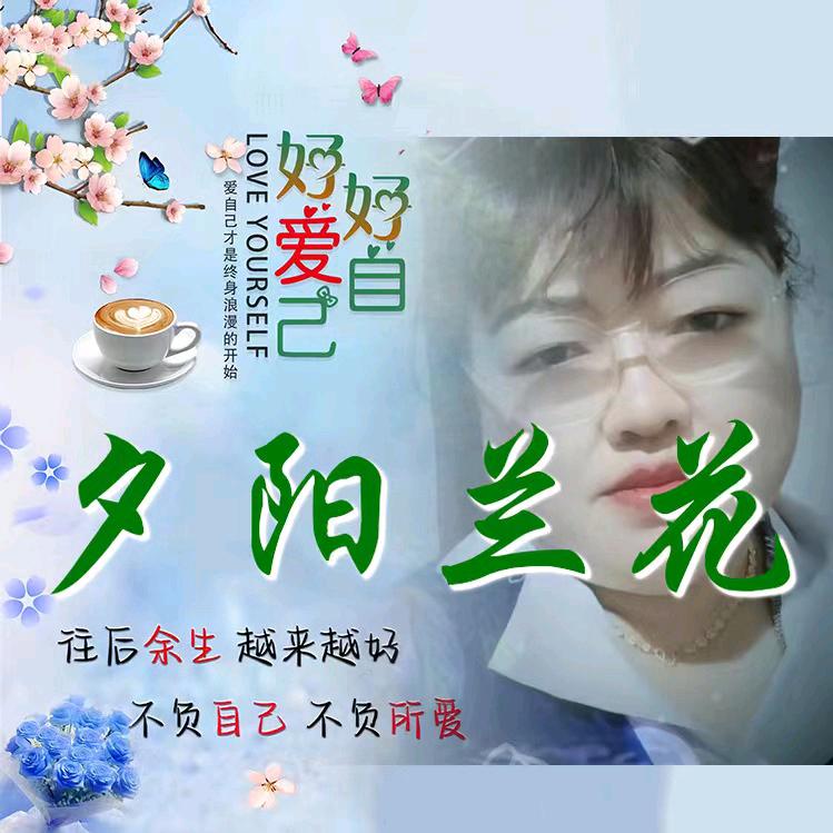 夕阳兰花