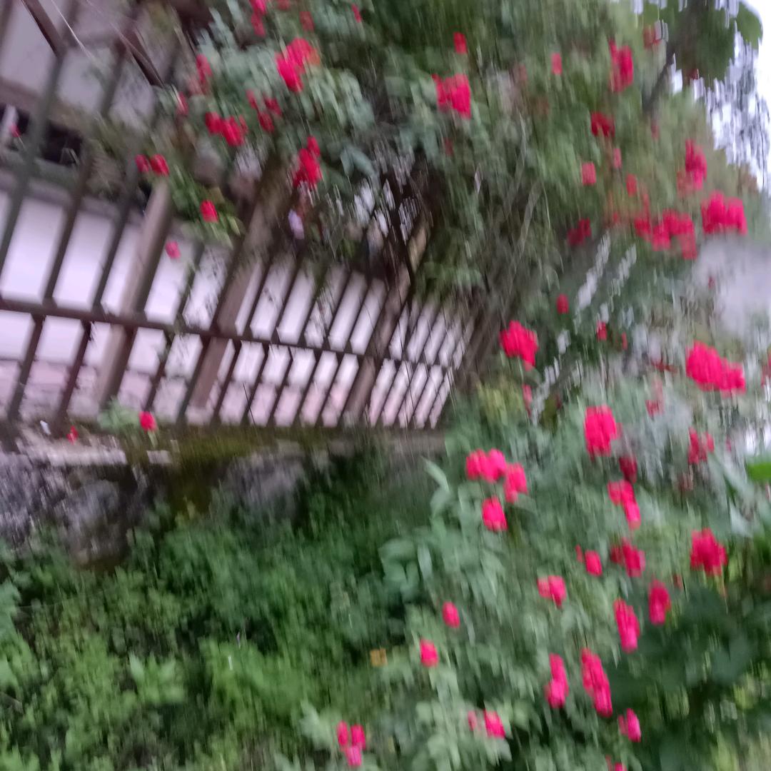 韩木匠