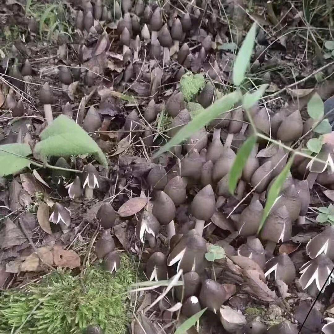 小侯😂😂单身一个人😂