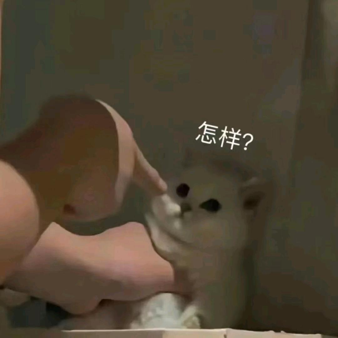 我的牛牛金刚钻