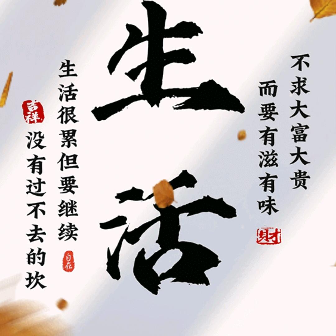 余生孤独又何妨 🌸