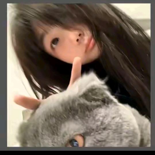 阿狸^