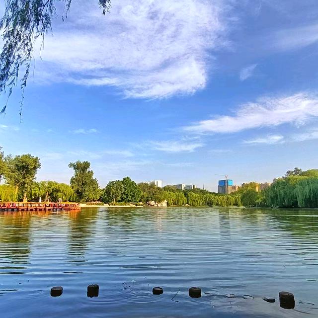 邢台根哥