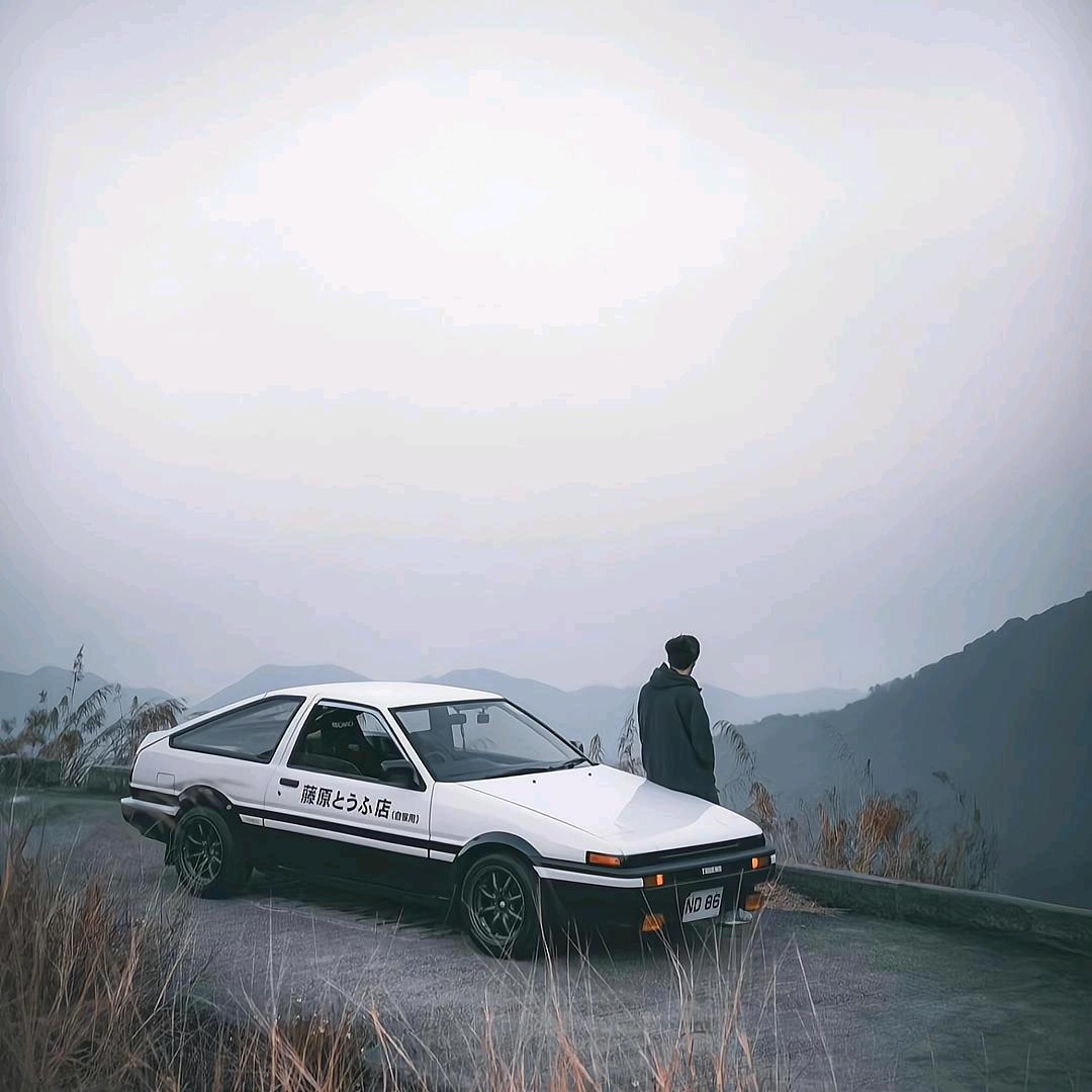 山茶酿头像