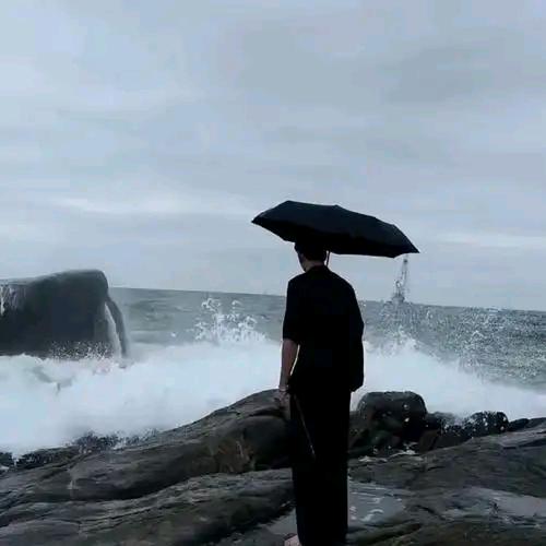考证咨询-董老师