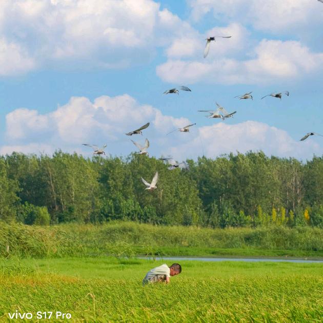 吴倩|习嘉·城市座标