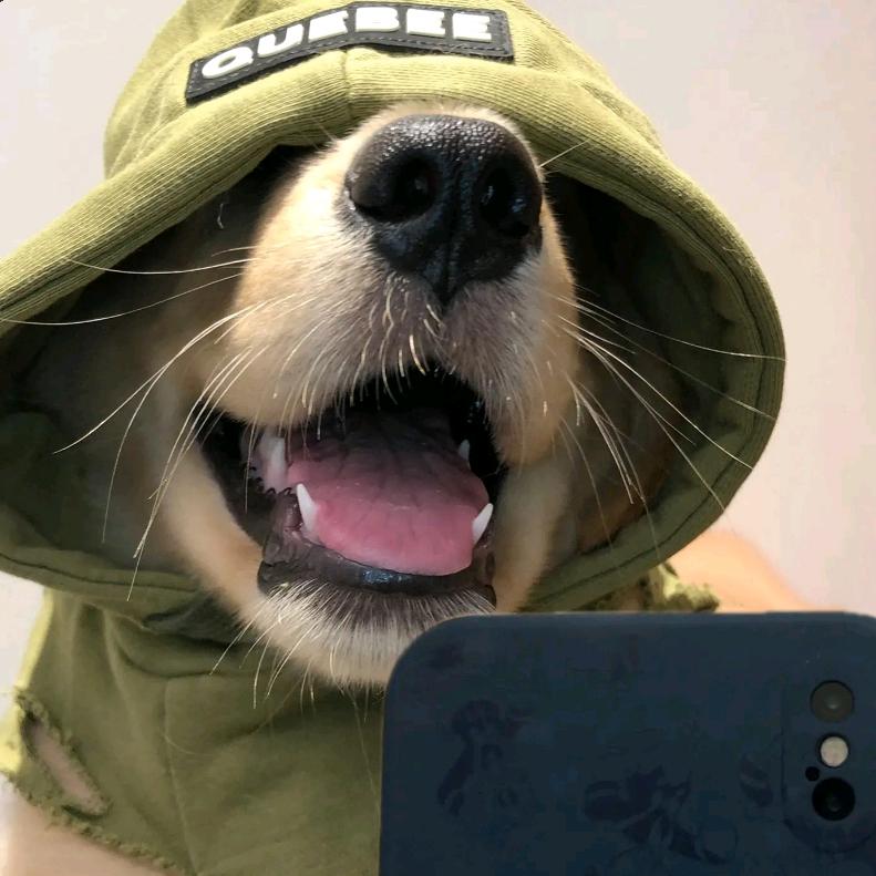 大杨羊好物分享